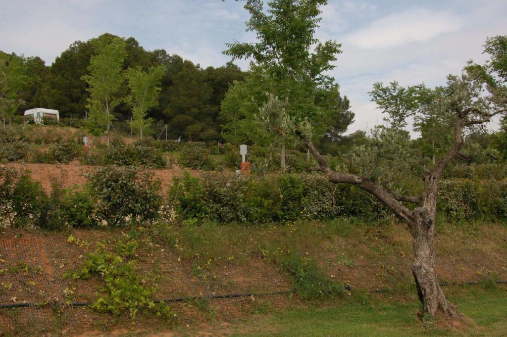 Camping Terra Alta Bot Exterior photo